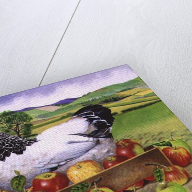 Hen in a Box of Apples, 1990 by E.B. Watts