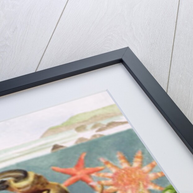 Furrowed Crab with Starfish Underwater, 1997 by E.B. Watts