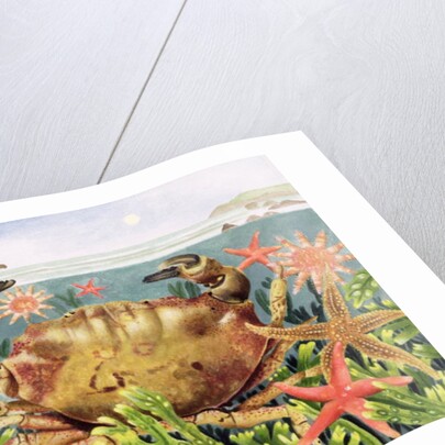 Furrowed Crab with Starfish Underwater, 1997 by E.B. Watts