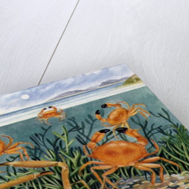 Crabs in the Ocean, 1997 by E.B. Watts