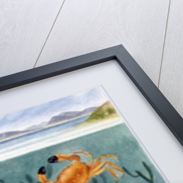 Crabs in the Ocean, 1997 by E.B. Watts