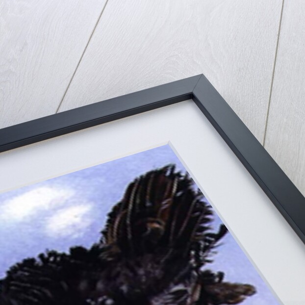 Black Turkey with Snow Berries, 1996 by E.B. Watts