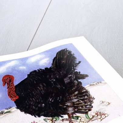Black Turkey with Snow Berries, 1996 by E.B. Watts