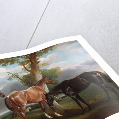 The 6th Duke's favourite hunters and dogs, 1857 by John E. Ferneley