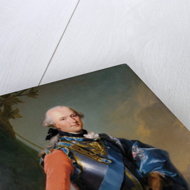 Prince Ferdinand, Duke of Brunswick-Luneburg, 1759 by Johann Georg Ziesenis