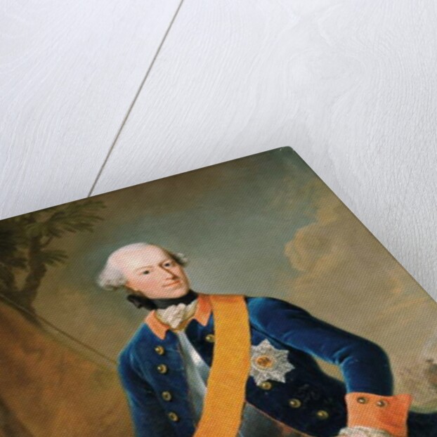 Frederick, Count of Schaumburg-Lippe-Buckeburg, 1759 by Johann Georg Ziesenis