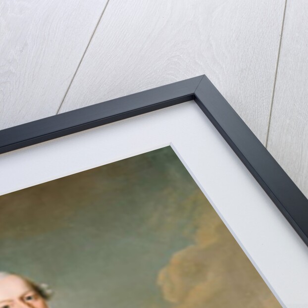 Frederick, Count of Schaumburg-Lippe-Buckeburg, 1759 by Johann Georg Ziesenis