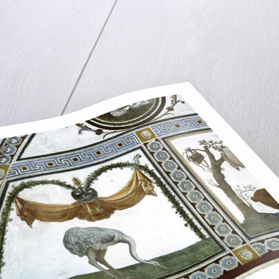 The 'Camera con Fregio di Amorini' detail of an ostrich, 1520's by Giulio Romano