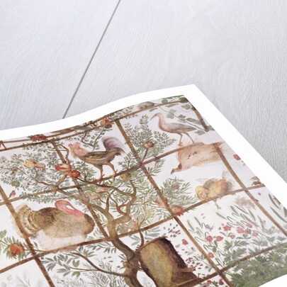 The antechamber of the 'Studiolo' of Francesco de'Medici detail of decoration depicting birds in a garden pergola, 1564-75 by Nanni di B. Bigio & Bartolomeo Ammannati