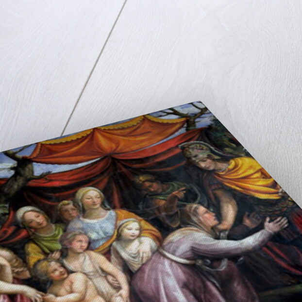 The 'Sala delle Nozze di Alessandro e Rossana' by Giovanni Antonio Bazzi Sodoma