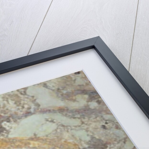 A decorated vault from the vestibule of the upper level of the catacombs by Anonymous