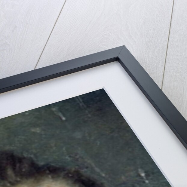 Self Portrait by El (1541-1614) Greco