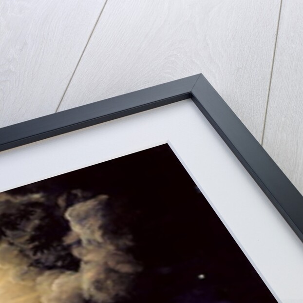 The Visitation of St Francis, 1641 by Pietro da Cortona