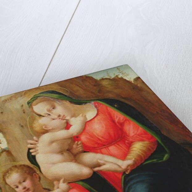 Madonna with Child and St John in a Landscape by Francesco Granacci