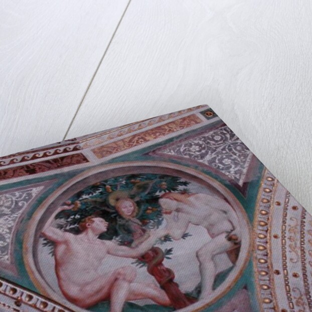 Original Sin by Bernardino Luini