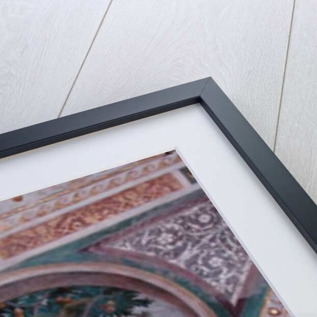 Original Sin by Bernardino Luini