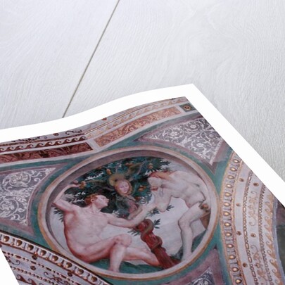 Original Sin by Bernardino Luini