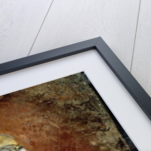 The Annunciation by Giotto