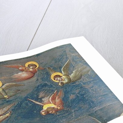 Detail of putti from The Lamentation of Christ, c.1305 by Giotto