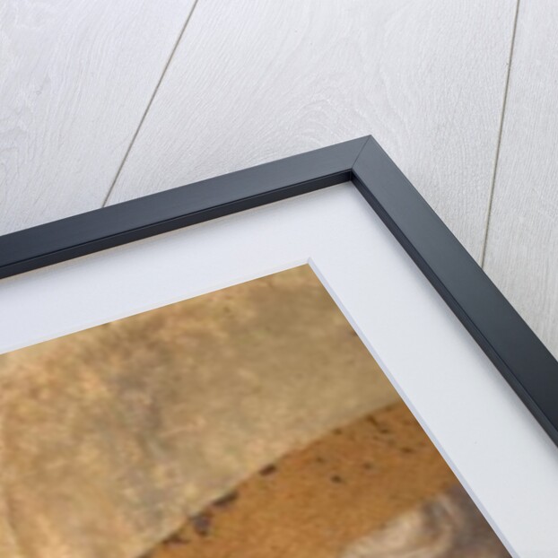 St. Peter Baptising the Neophytes: detail of two turbanned observers, c.1427 by Tommaso Masaccio