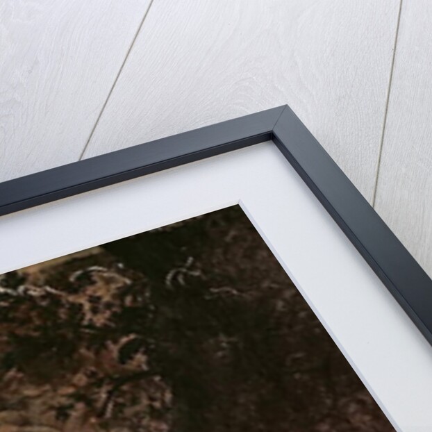 The Baptism of Christ by Jacopo Robusti Tintoretto