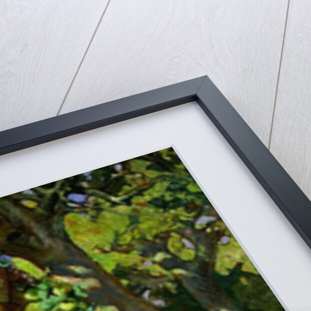 Picking Apples, c.1920 by Mabel Royds