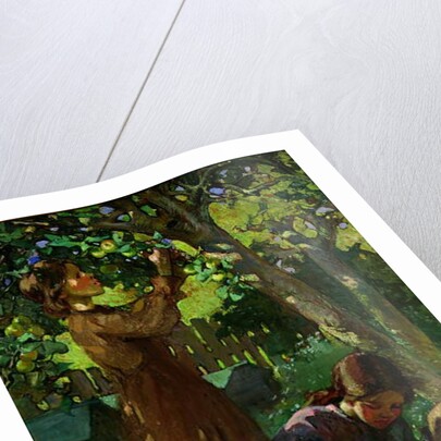 Picking Apples, c.1920 by Mabel Royds