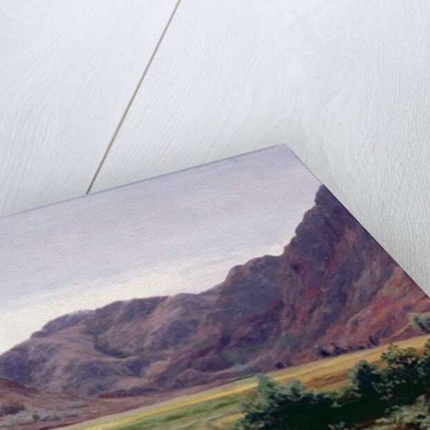 Haydays by David Farquharson