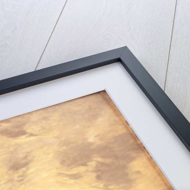 The Berwickshire Coast by John Milne Donald