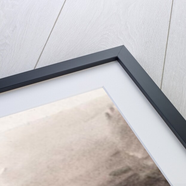 The Artist's Dog, c.1860 by John Adam P. Houston