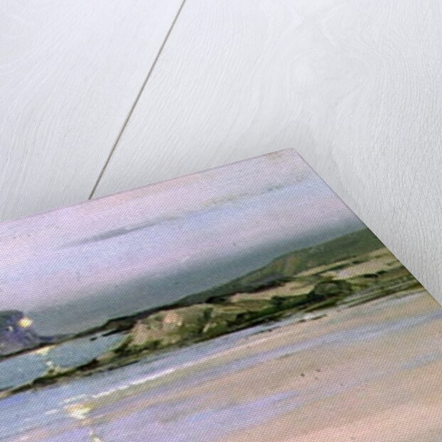 Bass Rock by John Campbell Mitchell