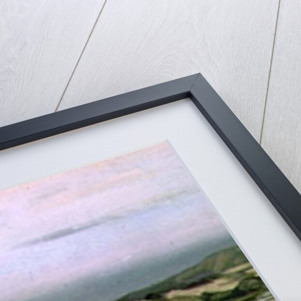 Bass Rock by John Campbell Mitchell