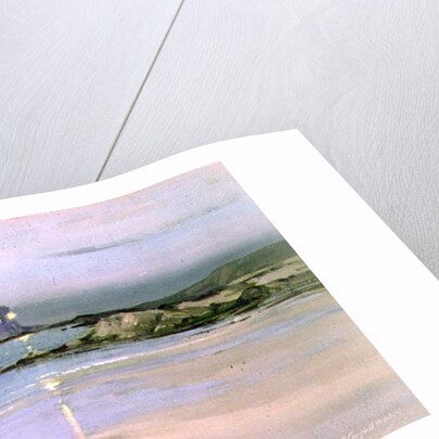 Bass Rock by John Campbell Mitchell