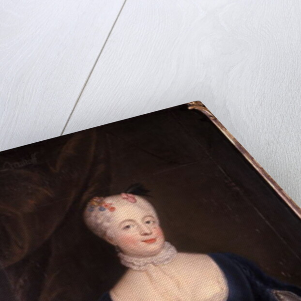 Countess Doenhoff by German School