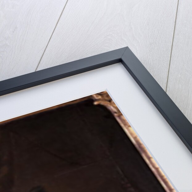 Countess Doenhoff by German School