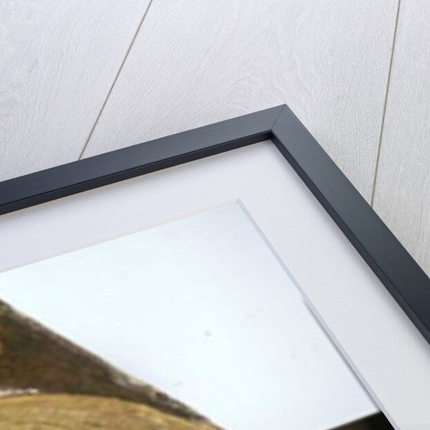 John the Evangelist, c.1360 by Italian School