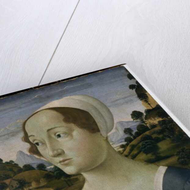 Portrait of a women in her mid-twenties by Bastiano Mainardi