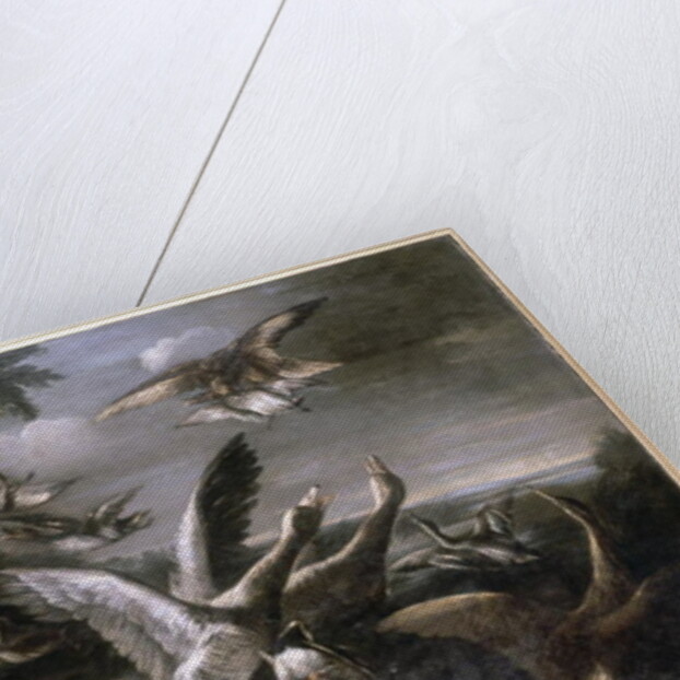 Eagle, Wild Geese and Dogs by German School