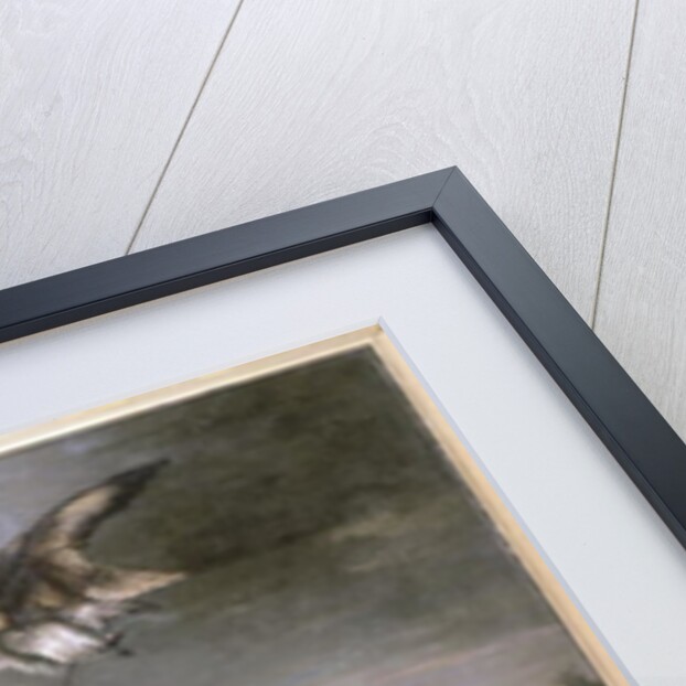 Eagle, Wild Geese and Dogs by German School