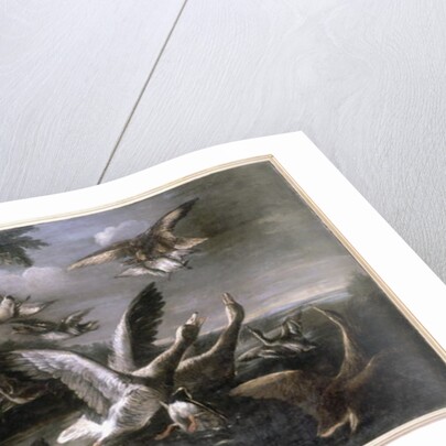 Eagle, Wild Geese and Dogs by German School