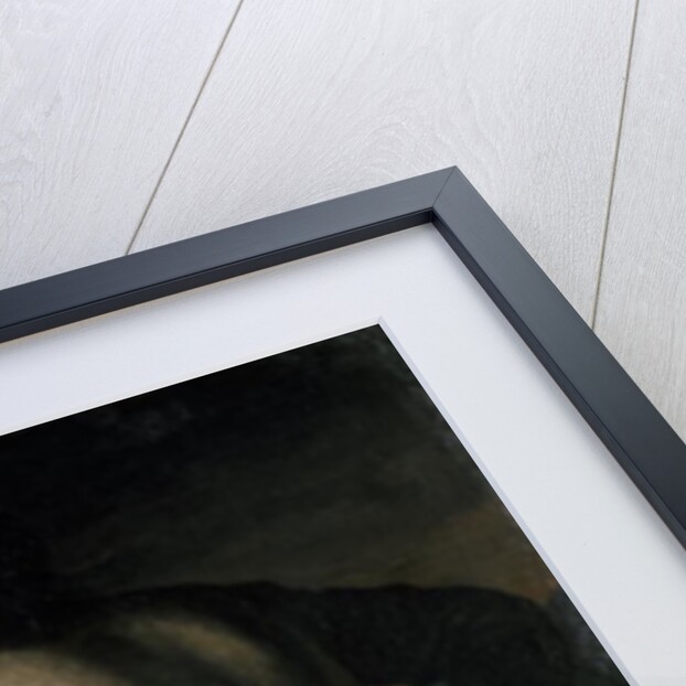 The Gamblers, before 1665 by Domenico (1612-75) Gargiulo