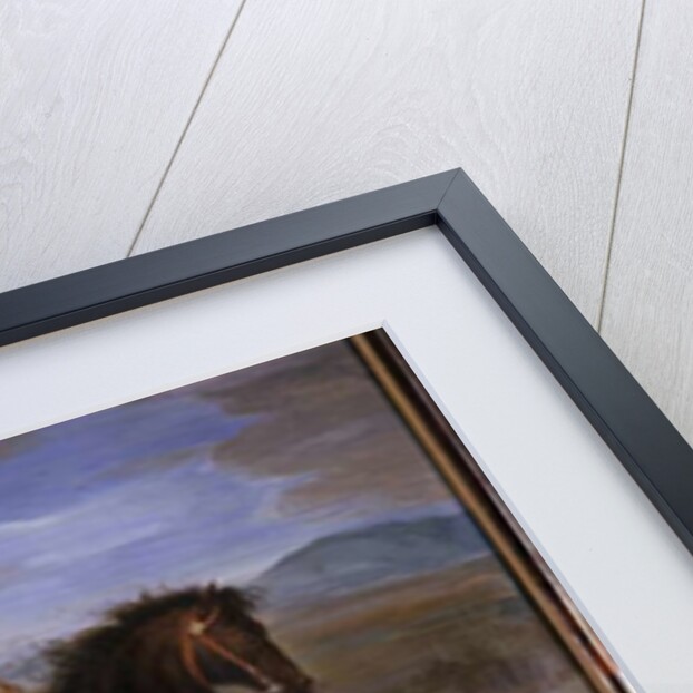 Portrait of Military Commander, 1676 by German School