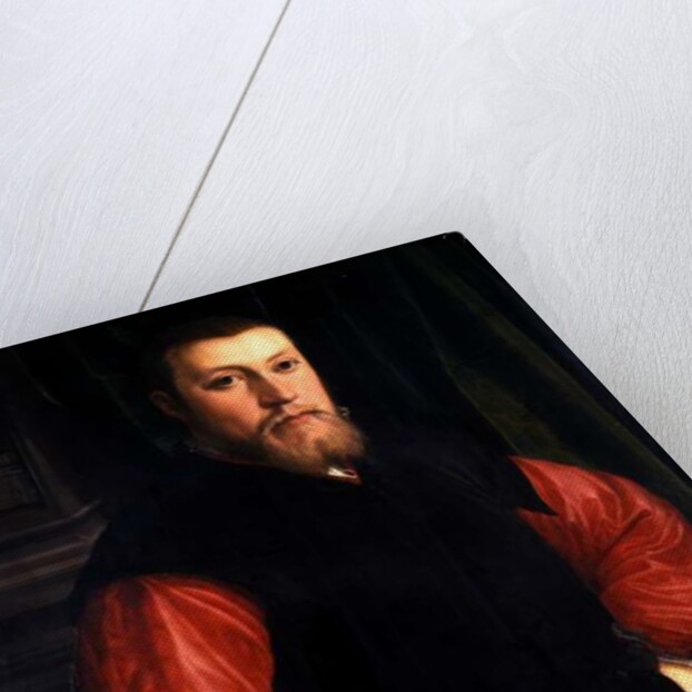 Hieronymus Sulczer, 1542 by Christoph Amberger