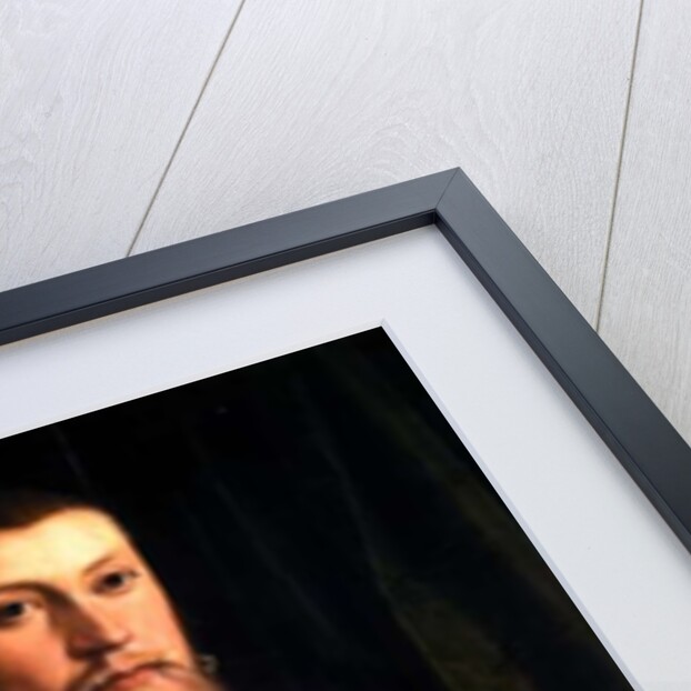 Hieronymus Sulczer, 1542 by Christoph Amberger