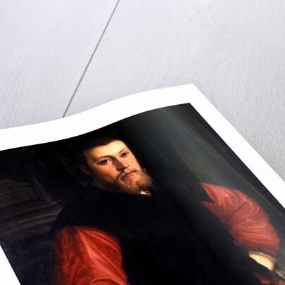 Hieronymus Sulczer, 1542 by Christoph Amberger