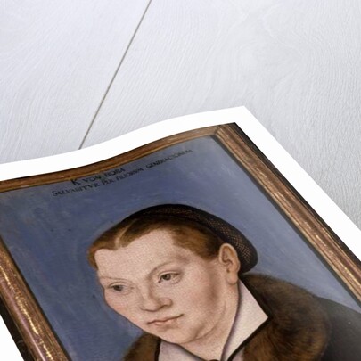 Katharina Luther, 1529 by Lucas the Elder Cranach