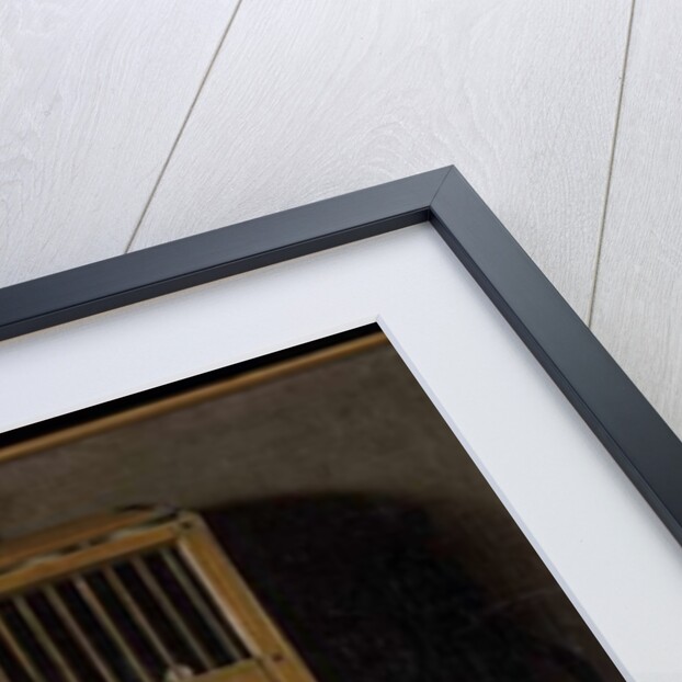 Still life with bird trapping equipment, 1660 by Johannes Leemans