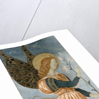 Angel of the Annunciation, c.1500 by Antoniazzo Romano