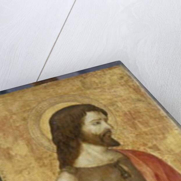 John the Baptist, c.1500 by Antoniazzo Romano