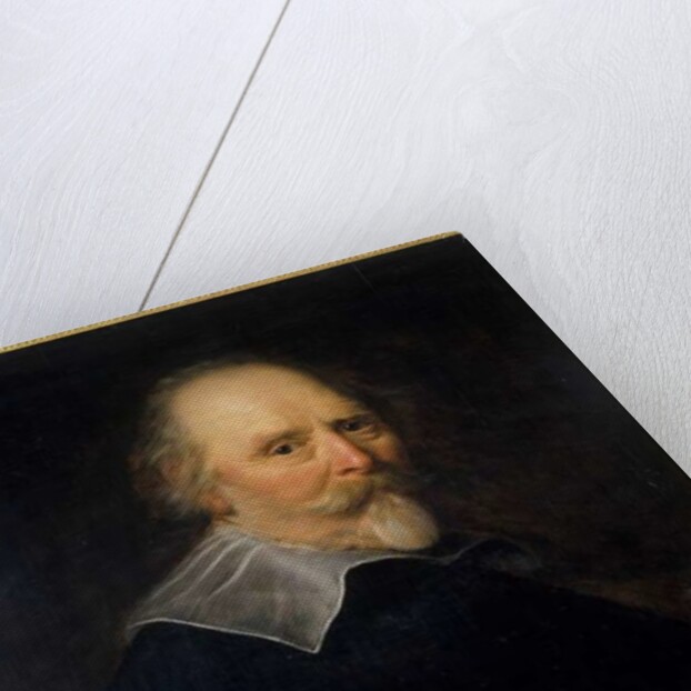 Portrait of an Old Man, 1643 by Abraham de Vries